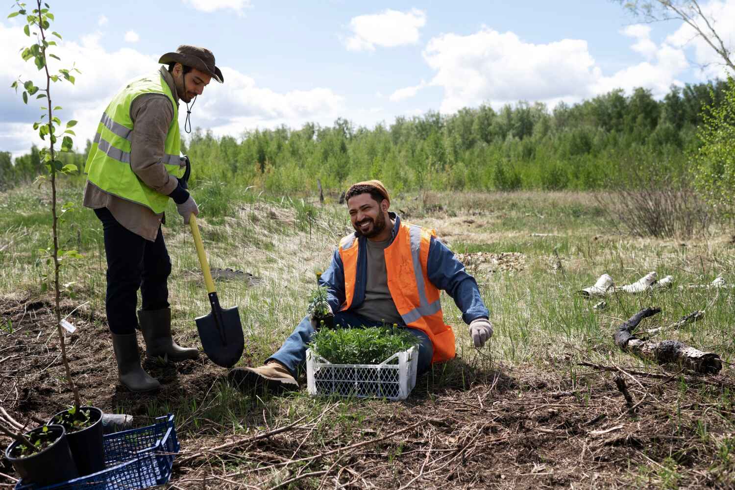 Best Best Tree Removal Services  in Mayville, WI